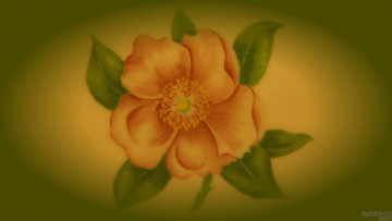 Картинка рисованные цветы зелёный лепестки
