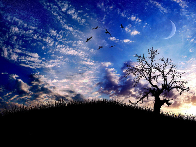 Обои картинки фото 3д, графика, nature, landscape, природа, месяц, дерево, облака, птицы, небо