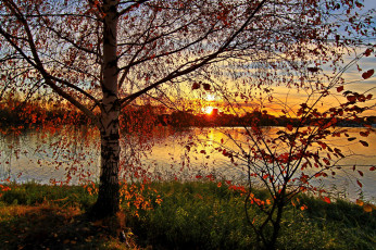 Картинка Ярославль река которосль природа восходы закаты деревья закат