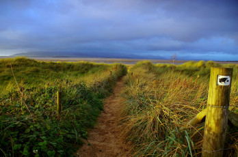 Картинка природа побережье берег луг трава изгородь тучи