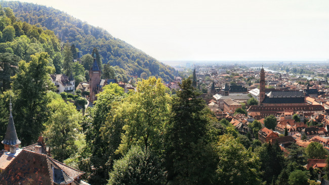 Обои картинки фото германия, гейдельберг, города, панорама, дома, улица, деревья