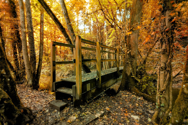 Обои картинки фото природа, лес, осень, река, мостик