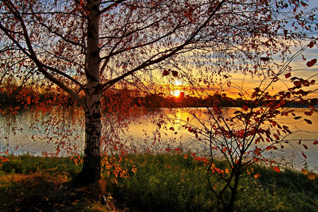Обои картинки фото Ярославль, река, которосль, природа, восходы, закаты, деревья, закат