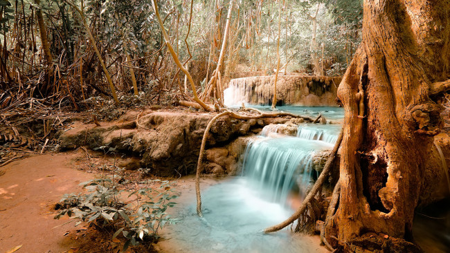 Обои картинки фото природа, водопады, река, лес