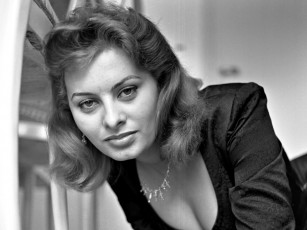 обоя Sophia Loren, девушки