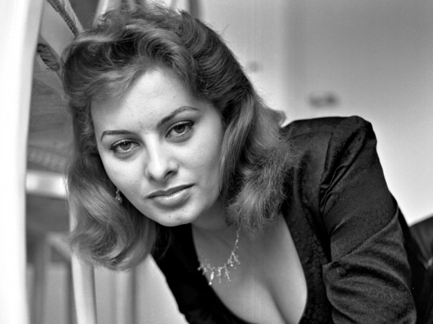 Обои картинки фото Sophia Loren, девушки