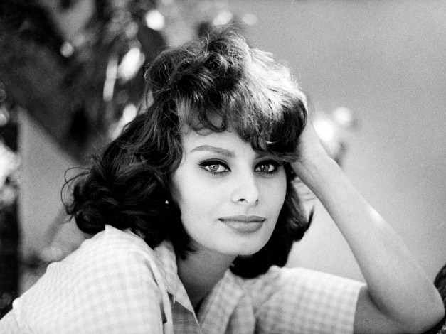 Обои картинки фото Sophia Loren, девушки