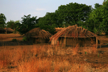 Картинка разное сооружения постройки хижины оранжевая трава зеленые деревья