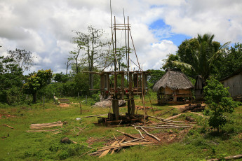 Картинка разное сооружения постройки пальмы доски постройка