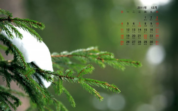 Картинка календари природа снег ветка