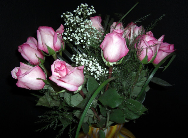 Обои картинки фото цветы, розы, гипсофила, розовые