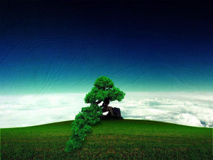 Картинка разное компьютерный дизайн трава дерево небо