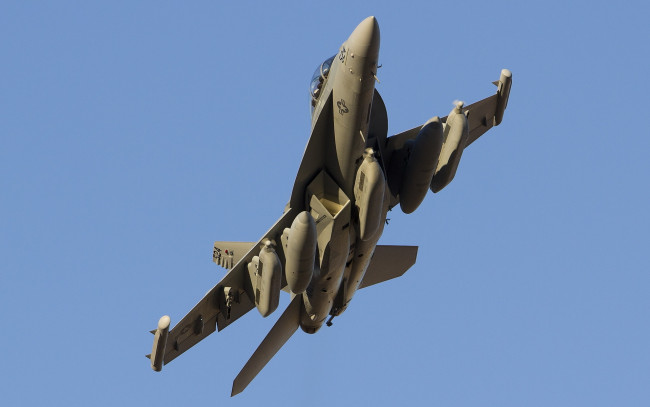Обои картинки фото авиация, боевые самолёты, thunder42, vaq-135, black, ravens, f-18g