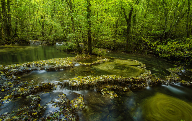 Обои картинки фото природа, реки, озера, лес, вода