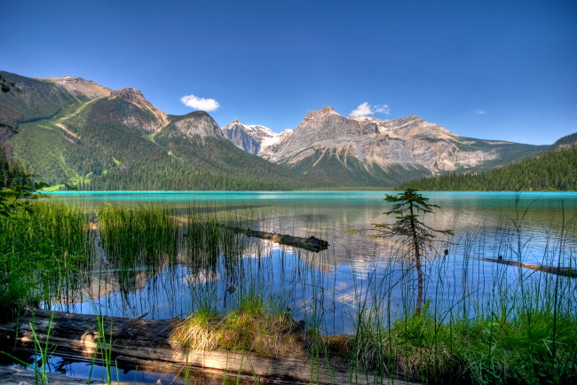 Обои картинки фото emerald lake yoho national park,   canada, природа, реки, озера, горы, озеро, emerald, canada, national, park, лес, lake, yoho