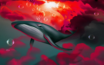 Картинка рисованное животные +рыбы кит