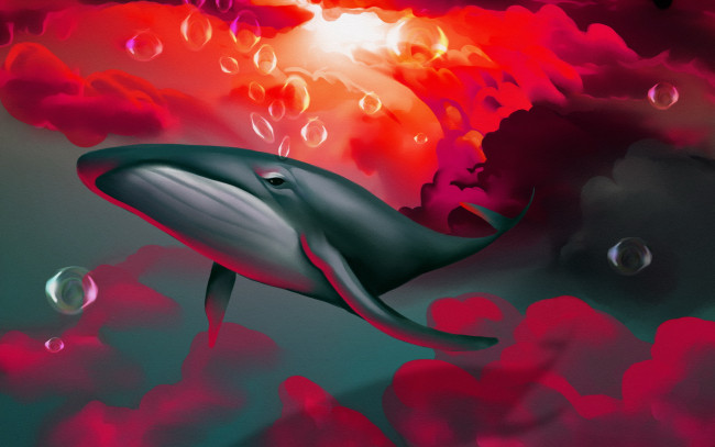 Обои картинки фото рисованное, животные,  рыбы, кит