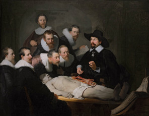 обоя рисованное, rembrandt van rijn, картина, доктор, анатомия, тульп, рембрандт