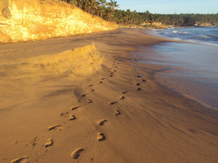 Картинка природа побережье кавалам индийский океан мулюр индия пляж