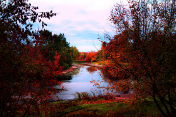 Картинка природа реки озера осень багрянец деревья река