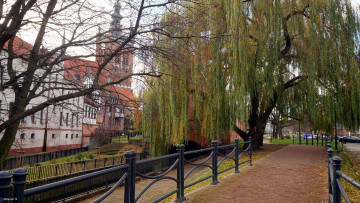 Картинка города гданьск+ польша аллея деревья здания