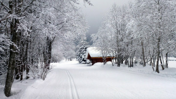 Картинка природа зима иней деревья снег сугробы