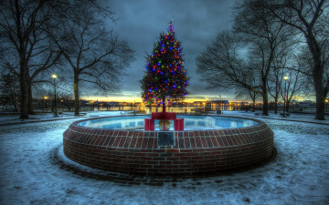 Картинка праздничные Ёлки вечер фонтан елка гирлянды