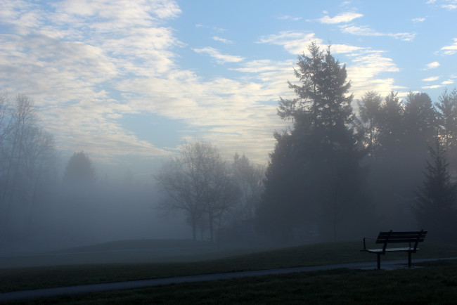 Обои картинки фото природа, парк, скамья, настроение, утро, туман