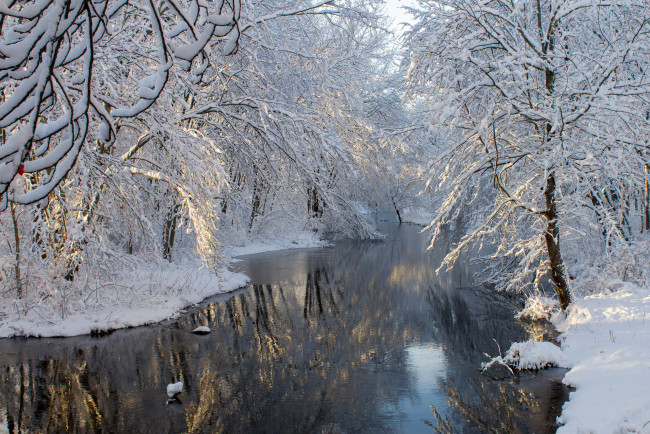 Обои картинки фото природа, реки, озера, река, деревья, снег