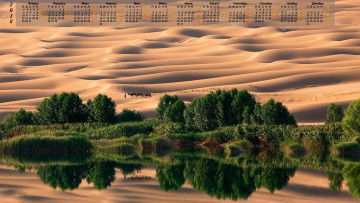 Картинка календари природа 2018 пустыня водоем верблюд караван растения