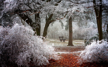 Картинка природа парк иней скамейка деревья