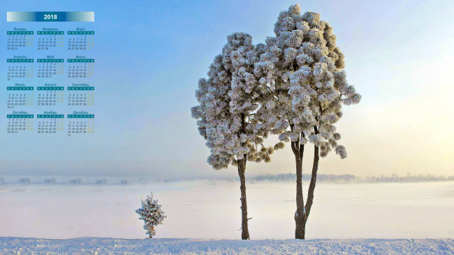 Обои картинки фото календари, природа, деревья, 2018, снег, зима