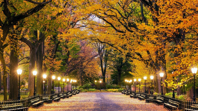 Обои картинки фото природа, парк, осень, скамейки, фонари, аллея