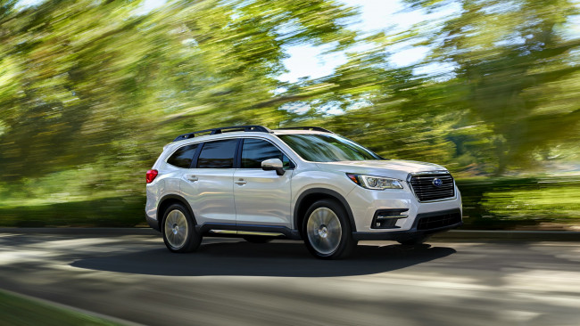 Обои картинки фото subaru ascent 2019, автомобили, subaru, ascent, 2019, внедорожник, белый