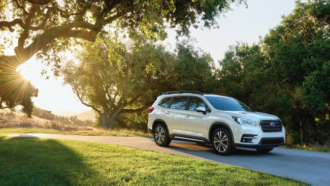 Обои картинки фото subaru ascent 2019, автомобили, subaru, ascent, 2019, внедорожник, белый