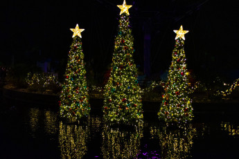 Картинка праздничные ёлки елки звезды