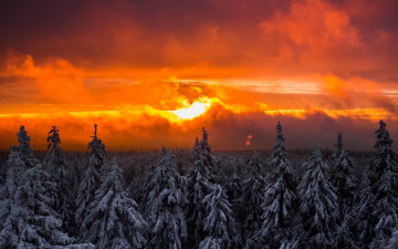 обоя природа, восходы, закаты, закат, вечер, зима, небо, тучи, солнце, огненный, лучи, деревья, лес, пейзаж, красота