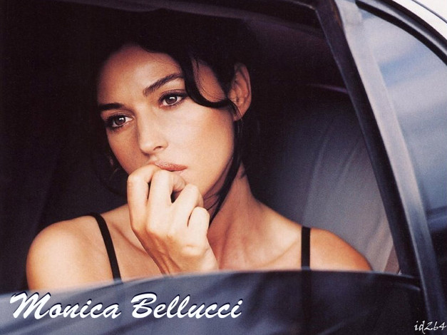 Обои картинки фото Monica Bellucci, девушки