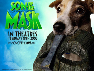 обоя кино, фильмы, son, of, the, mask
