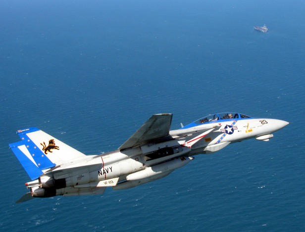 Обои картинки фото grumman, 14, tomcat, авиация, боевые, самолёты, f-14