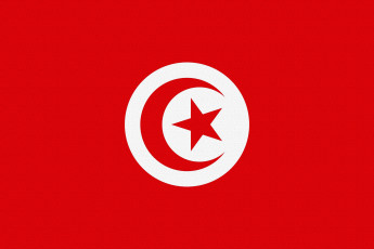 Картинка разное флаги гербы флаг герб тунис