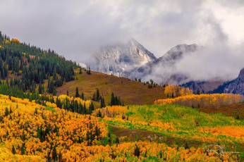 Картинка природа горы сша лес осень туман гора кэпитол пик штат колорадо