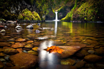Картинка природа водопады камни озеро деревья лес осень лист