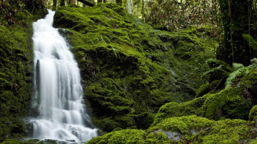 Картинка природа водопады поток лес камни мох