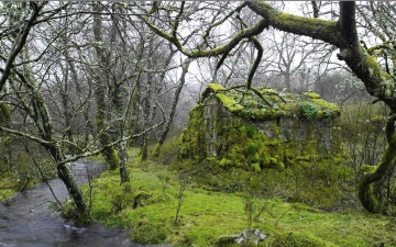 Картинка разное развалины +руины +металлолом трава поток мох лес деревья река хижина