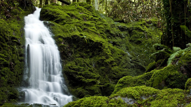 Обои картинки фото природа, водопады, поток, лес, камни, мох