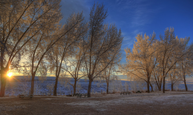 Обои картинки фото природа, зима, солнце, закат, поле, иней, ветки, небо, деревья