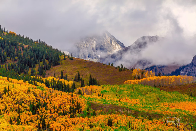 Обои картинки фото природа, горы, сша, лес, осень, туман, гора, кэпитол, пик, штат, колорадо