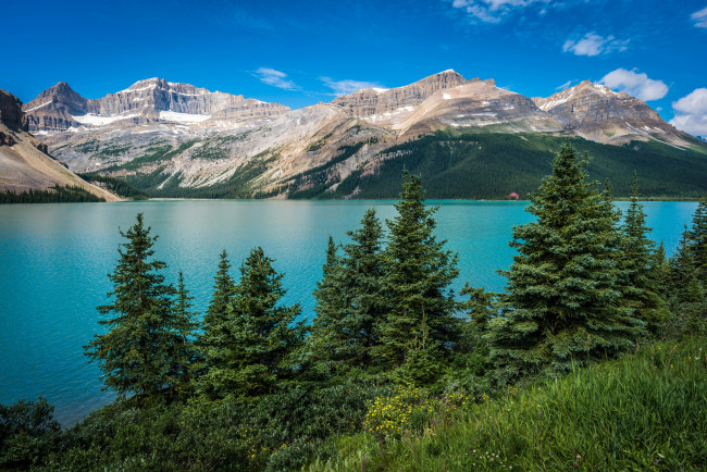 Обои картинки фото природа, реки, озера, bow, lake, banff, national, park, alberta, canada, горы, небо, облака, озеро, деревья