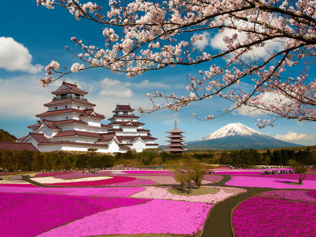 Обои картинки фото города, замки Японии, фудзияма, Япония, цветение, ветки, сакура, парк, замок, фукусима, аидзувакамацу, вулкан